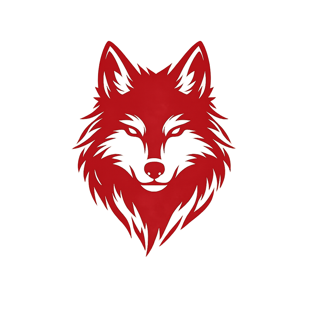 ANIME INSPIRED